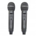 SDRD SD-314 Черная Караоке система (2 микр, Bluetooth 4.2)