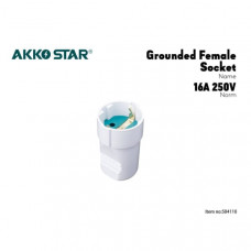 Штепсельное гнездо AKKOSTAR с заземлением 250V-16A 50/60Hz