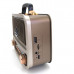 Радиоприемник портативный Meier MD-1310BT Light Brown (FM/AM/SW, BT, USB, TF, AUX, кабель Type-C, питание от аккумулятора 18650 (в к-те)/ 2хUM-1)
