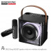 Портативная колонка Borofone DR23 Black BT v5.4, время работы до 4 часов, Поддержка режимов воспроизведения BT, FM, TF, USB, AUX, 2 беспроводных микрафона.