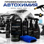 Профессиональная линейка Автохимия