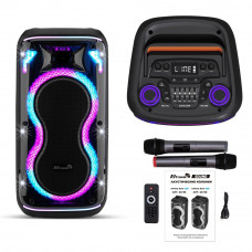 Активная напольная колонка 08 (20-93 DANCE BOX 800) динамик 2шт/8 ElTRONIC с TWS
